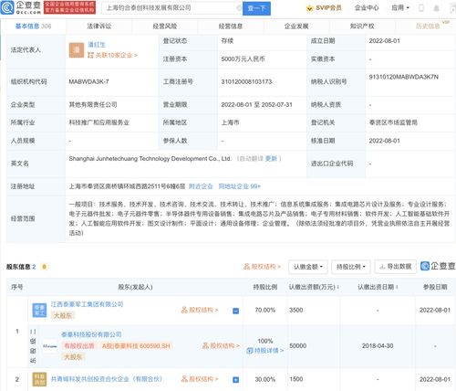 人工智能應用軟件開發 機遇、挑戰與實踐路徑